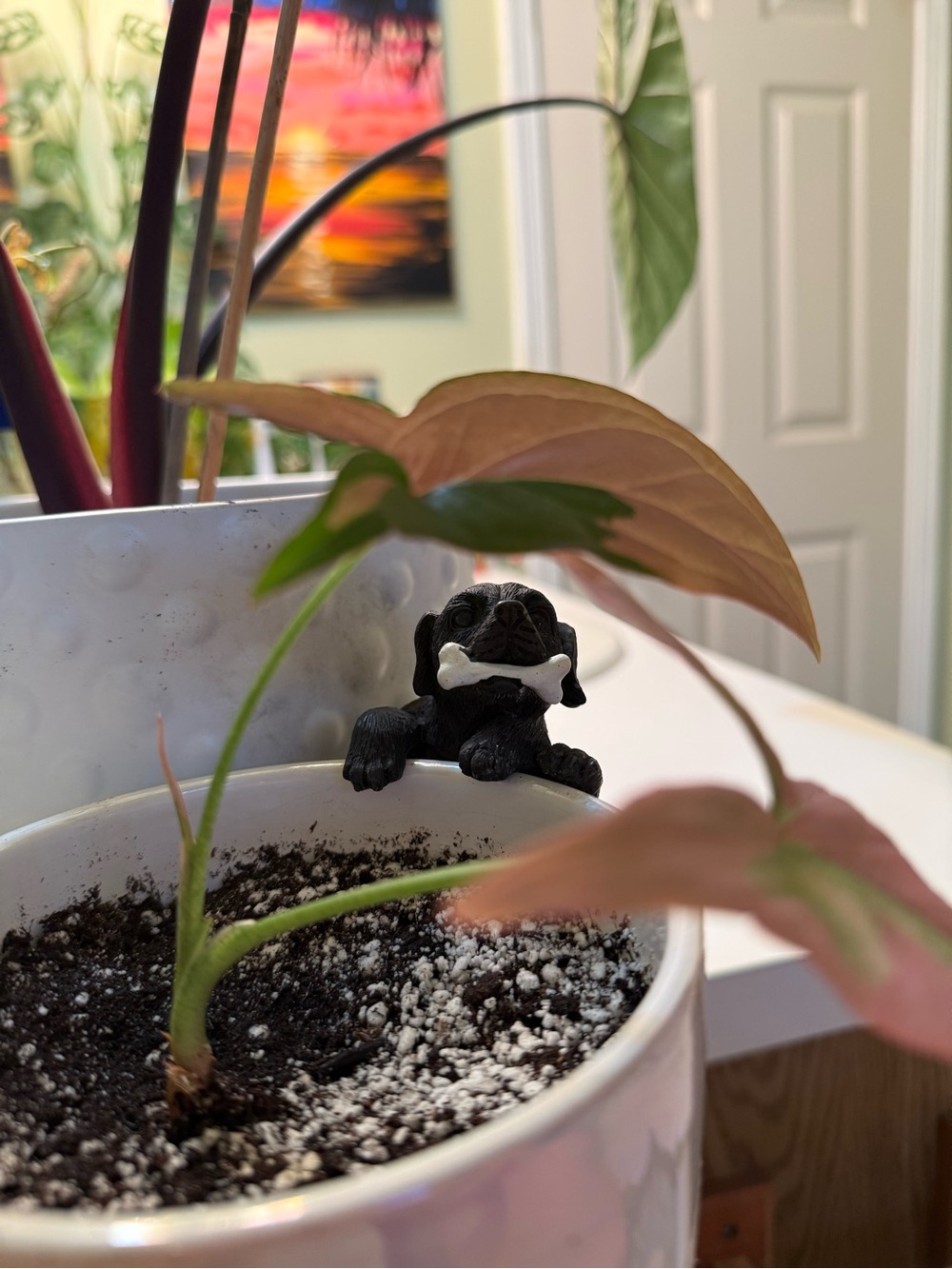 Black Labrador Puppy Plant Pot Buddy Decorative Plant Pot Hanger Holding Bone
